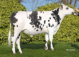 SEROUX (Nacre x Eolonne)