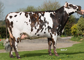 Ilière (Bainville), mère de MANEVILLE