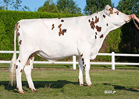 OURZET (Lika x Unog)