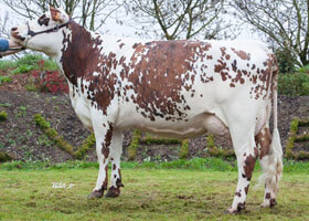 Hutille (ALMA), Mère de MARLOW