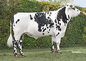 RADAR EC (Ibernatus x Jaures)