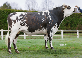 PICARD (Montoya x Jesse PC)