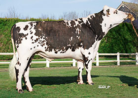 OLAMAGI (Lunivers x Eolonne)