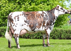 Lauréate (Hancara), mère de RAJAH