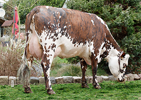 Odyssee (Loky), mère de Rackam MM