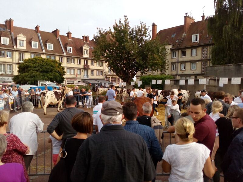Le public présent à Caudebec en Caux