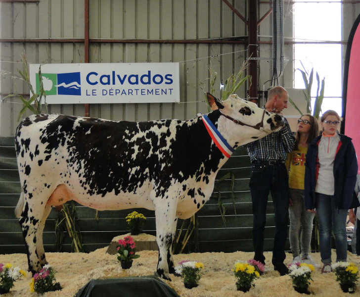 JURA (Game over) Grande Championne - Thierry Mariette