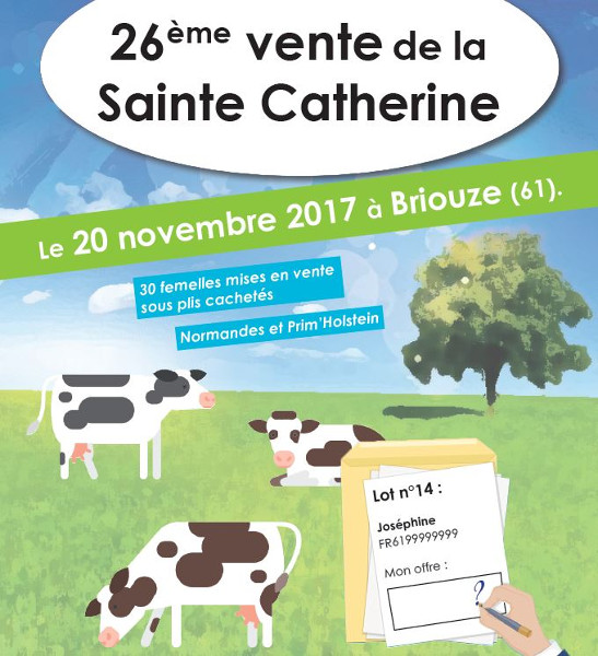 Affiche vente de Briouze 2017