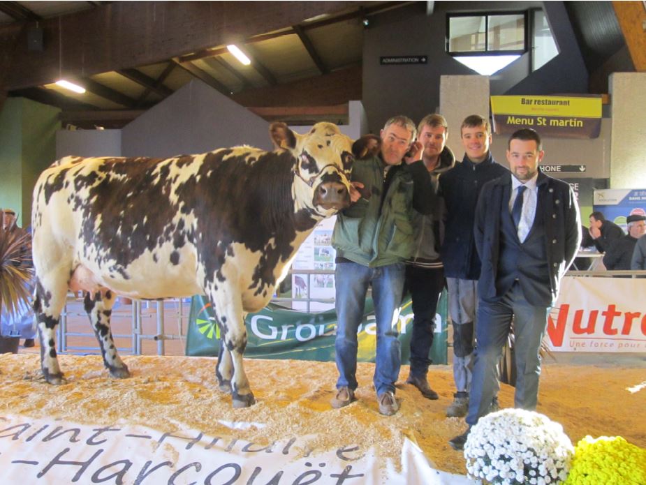 Concours interdépartemental normande de la Saint Martin