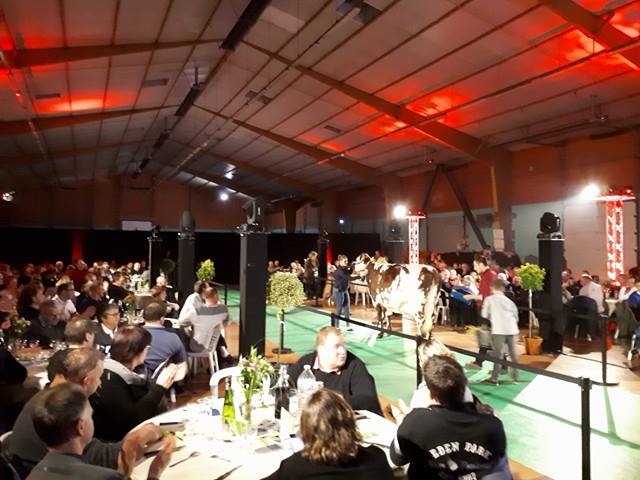 La soirée des 40 ans de Normande Star
