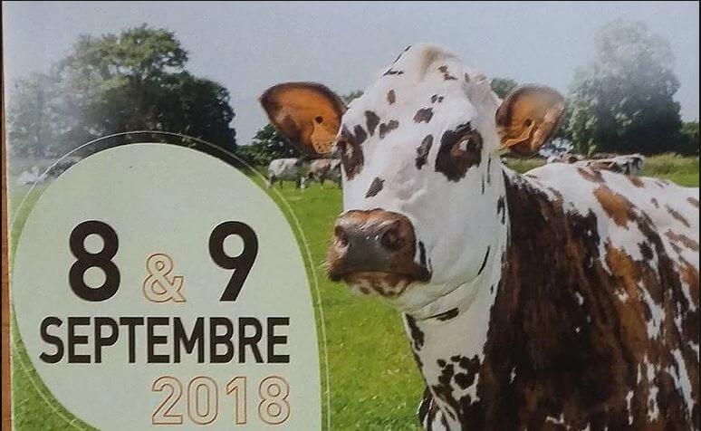 affiche du concours interregional 2018 de Chemillé