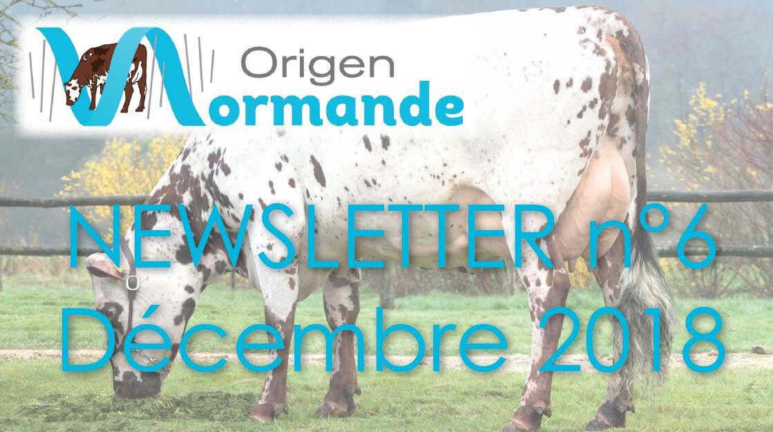 bandeau de la newsletter de décembre 2018