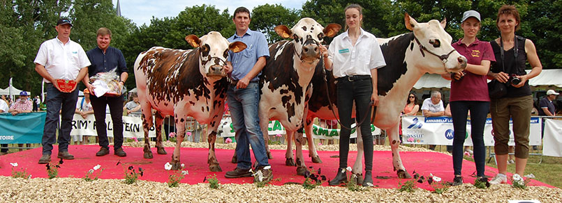L'EARL Gueret a remporté le prix d'élevage du concours Normand lors du concours départemental de l’Eure et Loir 2019