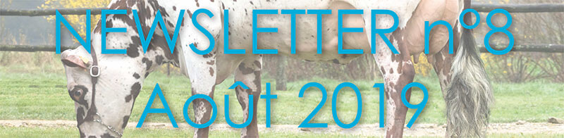 Bandeau de la Newsletter n°8 - Août 2019