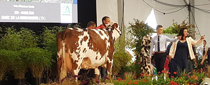 Hamilton remporte le Prix d'Honneur Adulte lors du national normand 2019
