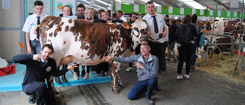 bandeau du concours normand du sommet de l'élevage : les éleveurs ornais autour de MEGAINE (Jefroid x Bouclier), championne jeune