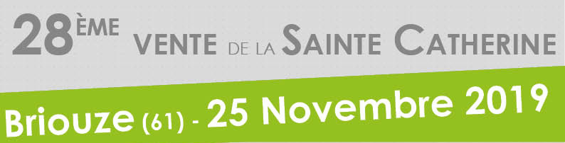 bandeau de la page de couverture du catalogue de la vente de la Sainte Catherine 2019 de Briouze