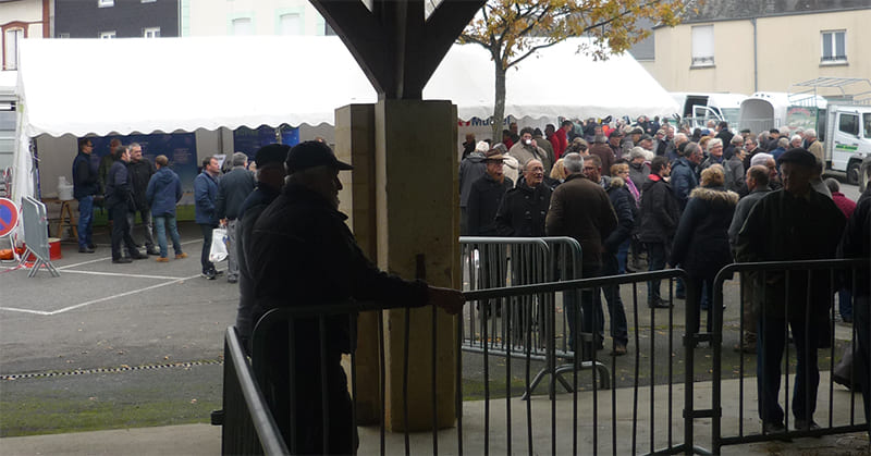 Le stand Origenplus lors d'une fête de la Sainte Catherine