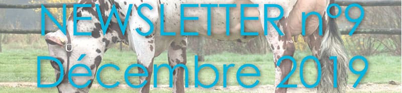 Bandeau de la newsletter sur la sortie d'indexation de décembre 2019
