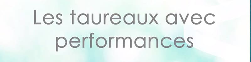 Capture de notre vidéo sur nos taureaux avec performances