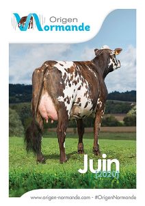 La première page du catalogue #OrigenNormande Juin 2020