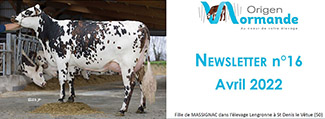 Bandeau de la newsletter n°16 d'avril 2022