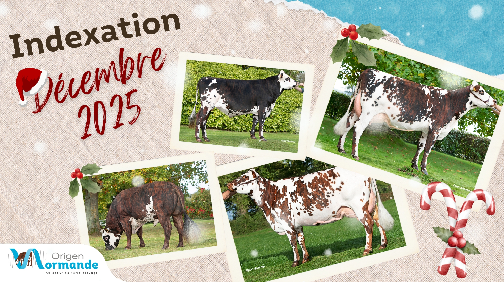 Indexation Normande de décembre 2025 - Origen Normande
