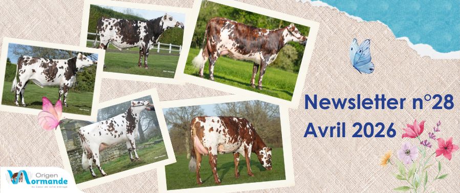 Indexation avril 2026